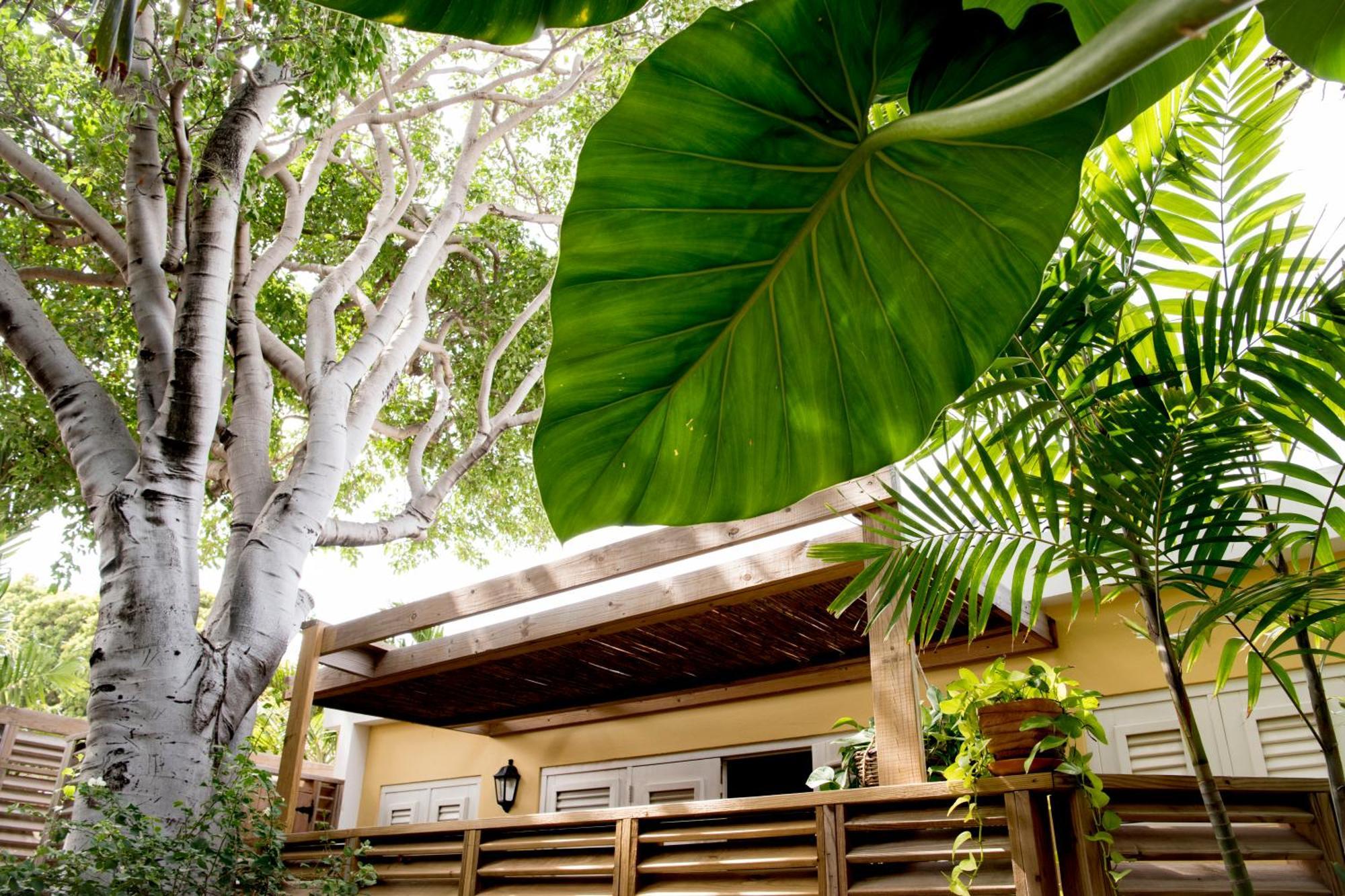 Curacao Gardens Διαμέρισμα Βίλλεμσταντ Δωμάτιο φωτογραφία